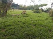 Terreno en Venta en Colonia Jeronimo Siller en San Pedro...