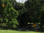 Terreno En Venta En Colonia La Noria Puebla