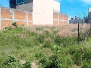 Terreno en Venta En Colonia Nueva Alemania, Cerca de VW...