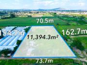 Terreno en venta en colonia Ojo de agua, San Sebastián,...