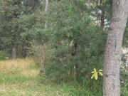 Terreno en Venta en Condado de Sayavedra