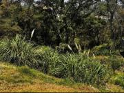 Terreno en venta en Condado de Sayavedra