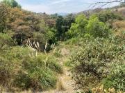 TERRENO en VENTA en CONDADO DE SAYAVEDRA