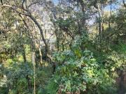 Terreno en Venta en Condominio Cerrado en Condado de...