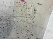 TERRENO EN VENTA EN CONGREGACION LOS REMATES, MONTERREY,...