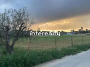 Terreno en Venta en Conil de la Frontera