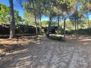 Terreno en venta en Conil de la Frontera