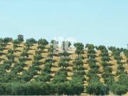 Terreno en Venta en Córdoba