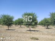 Terreno en Venta en Córdoba