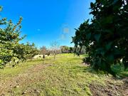 Terreno en Venta en Córdoba