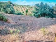 Terreno en venta en Córdoba, Assuan