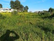 Terreno en Venta en Coria del Río