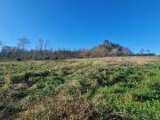 Terreno en Venta en Coristanco