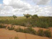 Terreno en venta en Corrales Del Vino Terreno en venta en Corrales Del Vino