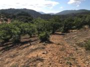 Terreno en Venta en Cortegana