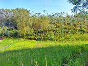 Terreno en Venta en Corvera de Asturias