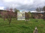 Terreno en Venta en Crecente
