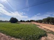 Terreno en Venta en Crevillent