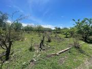 TERRENO EN VENTA EN CUACHICHOLOTERA, ATLAHUACAN MORELOS