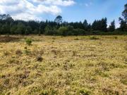 Terreno en venta en Cuadrilla de Dolores, Cancún, Estado...