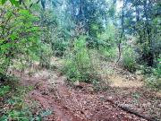 Terreno en venta en Cuadrilla de Dolores, Valle de...