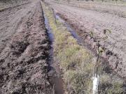 Terreno en venta en Cuadro Benegas San Rafael Mendoza...