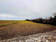 Terreno en Venta en Cudillero