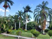 Terreno en venta en Cuernavaca Centro, Cuernavaca, Morelos