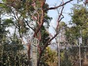 Terreno en Venta en Cuernavaca, Morelos