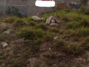 Terreno en Venta en Cumbres 5to. Sector, Monterrey