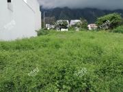 Terreno en Venta en Cumbres Mediterráneo