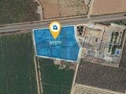 Terreno en venta en Daimiel, La Mancha