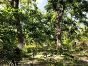 Terreno en venta en De La Loma, Parras, Coahuila