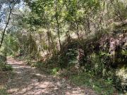 Terreno en Venta en Del Bosque, Cuernavaca, Morelos T69
