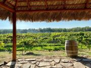 Terreno en venta en Del Marquez, Parras, Coahuila de...