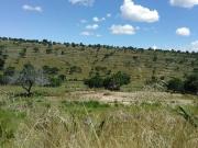 Terreno en venta en Delicias, Atltzayanca, Tlaxcala