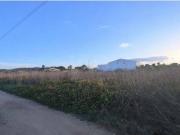 Terreno en Venta en Deltebre