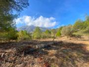 Terreno en Venta en Dénia