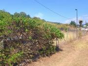 TERRENO EN VENTA EN DONATO GUERRA ESTADO DE MÉXICO