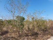 TERRENO EN VENTA EN DZITYÁ
