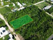 Terreno en venta en Dzitya cerca del fraccionamiento las...