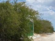 Terreno en venta en Dzityá, Mérida, Yucatán