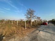 Terreno en venta en Dzityá, Mérida, Yucatán