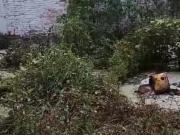 TERRENO EN VENTA EN ECATEPEC