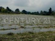 Terreno en Venta en Edo. de México, Atlautla