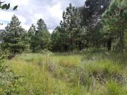 TERRENO EN VENTA, EN EDO. HIDALGO