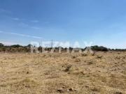 Terreno en venta en Ejido Jaripitio 4