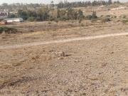 Terreno en venta en Ejido Lo de Juárez, Irapuato, Guanajuato