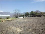 Terreno en venta en El Ahuehuete, Tlayacapan, Morelos