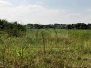 TERRENO EN VENTA EN EL BARRANQUITO CARRETERA CADEREYTA –...